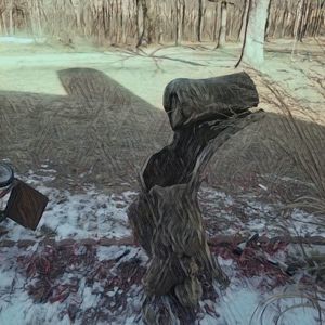 Meet your Posher, Tina